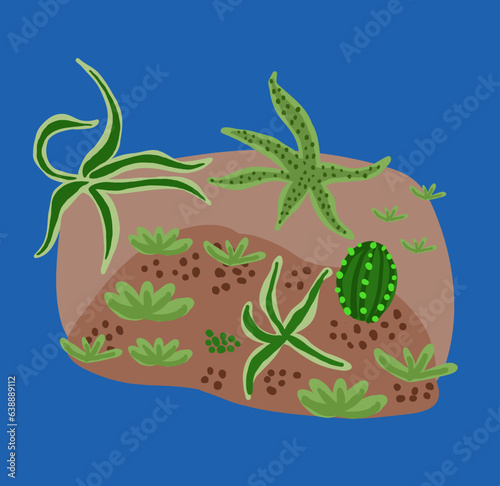Beautiful postcard with cactuses composition. Stylish Mexican landscape, decorative exotical plants home garden on blue. Vector illustration