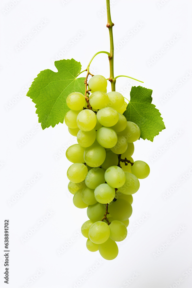 Obraz premium fresh grape