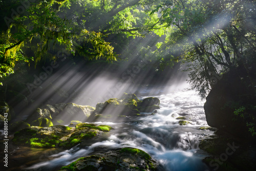 夏の絶景 幻想的な菊池渓谷の渓流と光芒