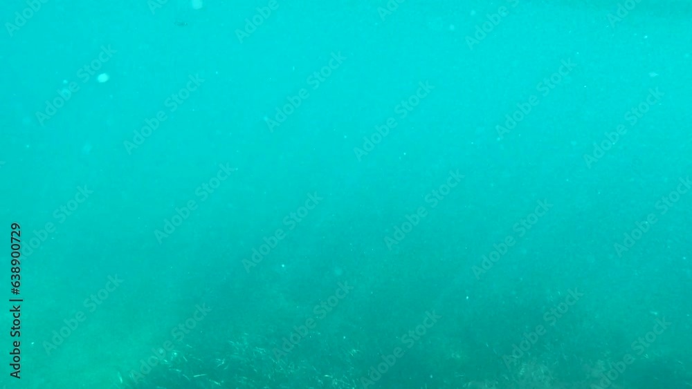 Snorkel en Benicasim Snorkel en Benicasim