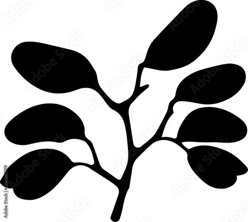 Altingiaceae icon 3 photo