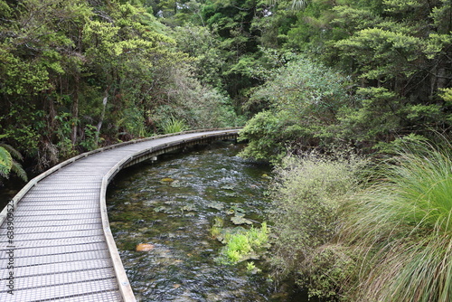 Track leading to the forest