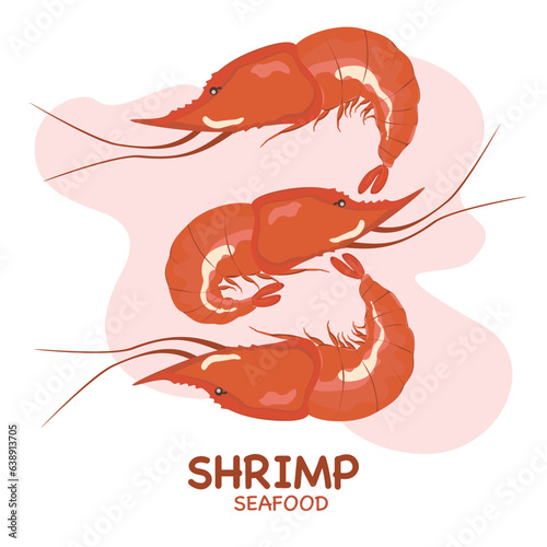 Vector set of shrimps for Mediterranean cuisine. Seafood. Top view, closed shell, open shell. Isolated on a white background. for the product market.