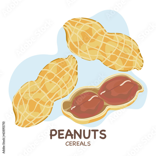 Peanuts, vector illustration, easy edit, white background.