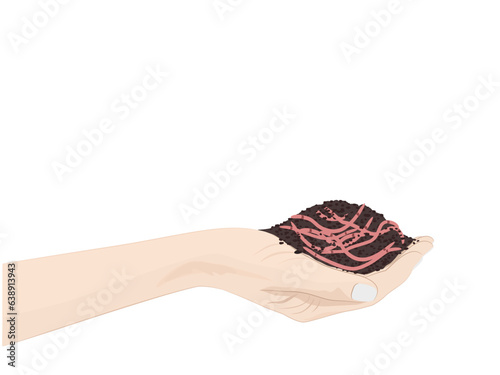 Earthworms on a white background.
