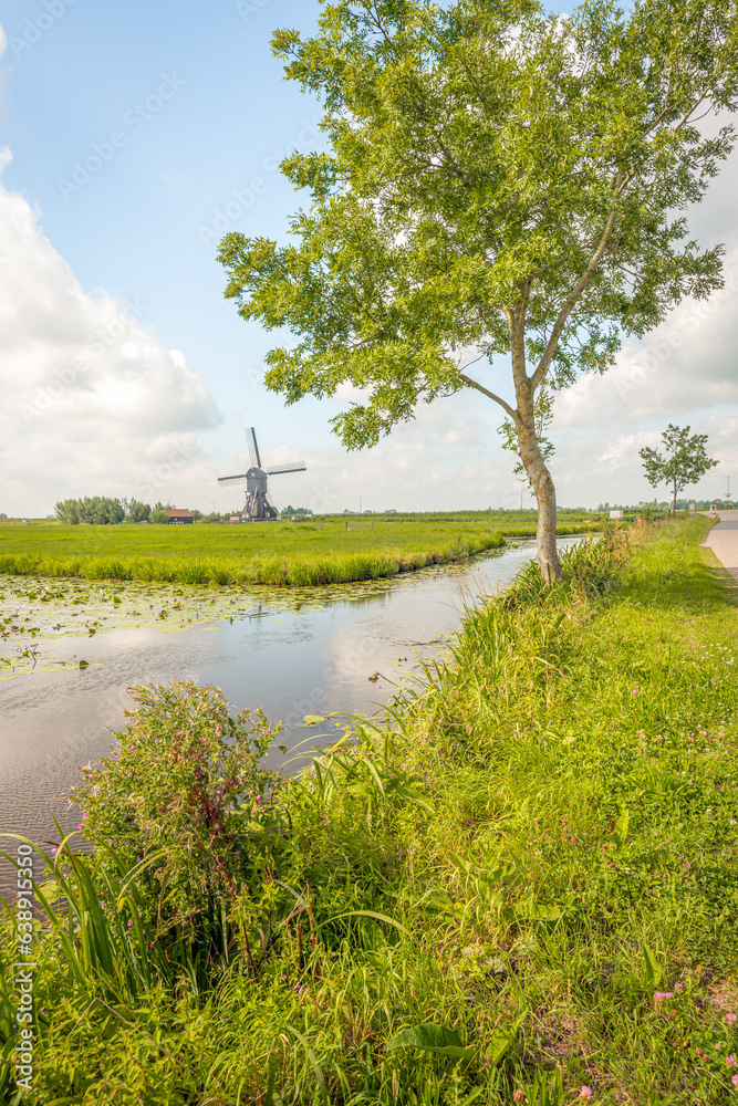 Picturesque polder landscape with ditches and an old mill in the Netherlands. The photo was taken in summertime near the small village of Hoornaar, municipality of Molenlanden, provincie South Holland