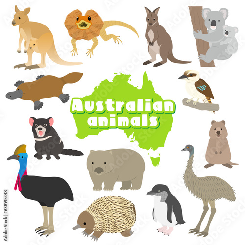 オーストラリアの動物のイラストセット