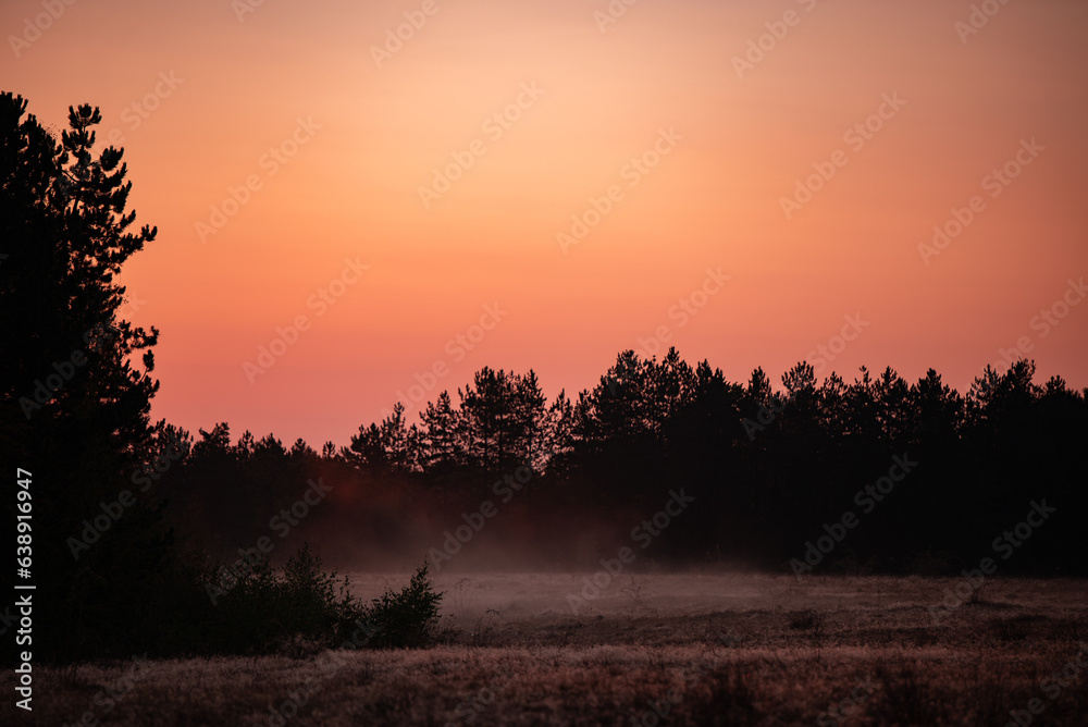 Astonishing sunrise over the forest in the autumn. Beautiful golden color on the sky made by the sun at the beginning of the day creating a misty place