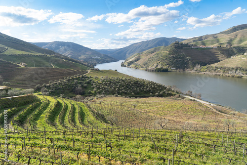 Douro wine valley photo