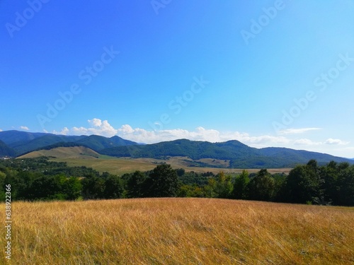 Landscape in the summer