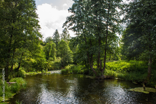 Beautiful landscape - a river among green trees with lush foliage and reflection in the water on a summer day in the Vladimir region