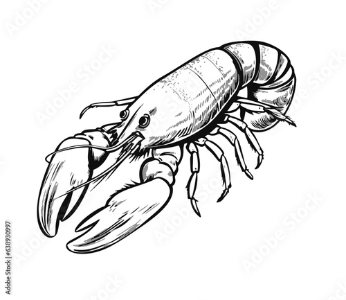 Spiny lobster profile prepared isolated on white background. Seafood. Vector illustration, icon, sign, simbol, log, sticker for poster, banner, label, packaging