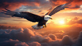 Bald eagle flying above the clouds at sunset
