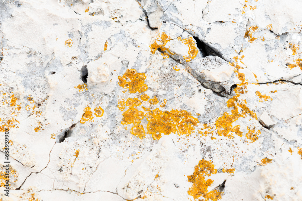 Naklejka premium Abstract stone texture with lichen