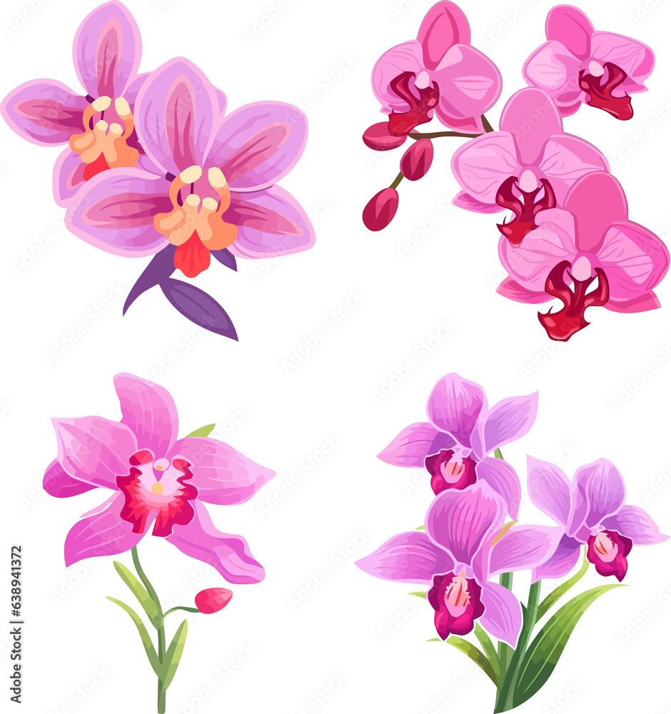 Hand Drawn Orchid Flower Illustration Set Hand Drawn Orchid Flower Illustration Set