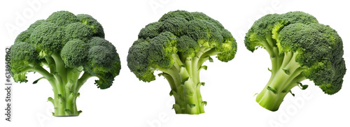 Set of fresh broccoli isolated on white background