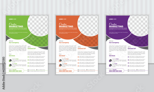 Business Flyer Brochure Template Design  vector template design