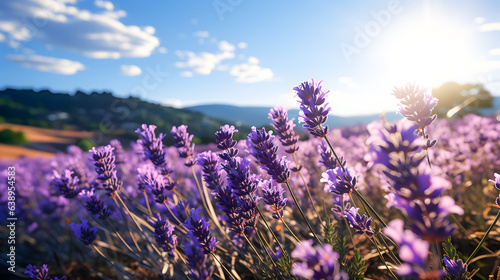 Lavender in a meadow  Generative AI 