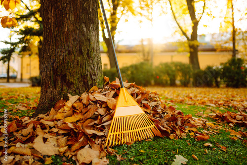 Photo Garden work in the garden in autumn, raking leaves in the garden with a rake