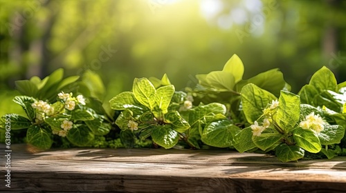 Wooden table with green leaves and flowers in the garden. Nature background