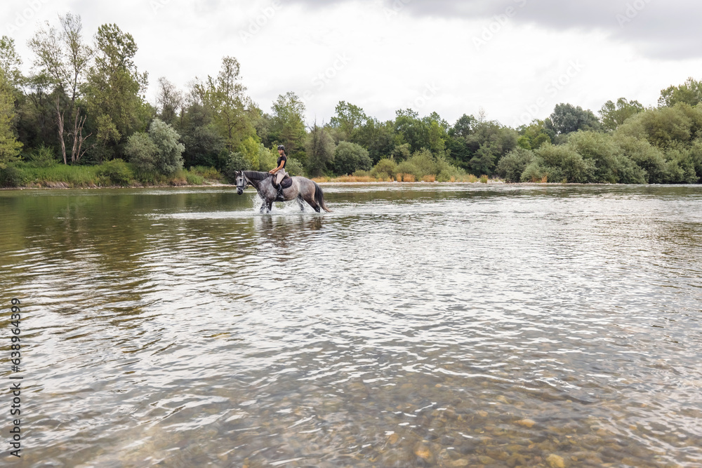 Gray horse with a female rider in the saddle walking through river water. Ecotourism and equestrian recreation sport concept. Gray horse with a female rider in the saddle walking through river water. Ecotourism and equestrian recreation sport concept.