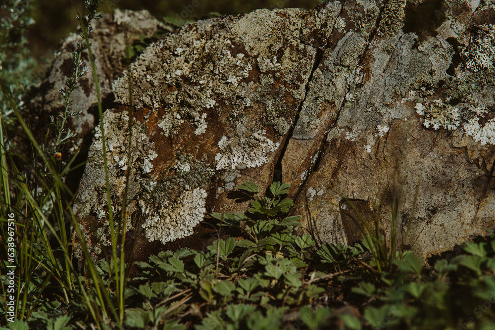 Old stone with lichen and moss in the grass, natural background Old stone with lichen and moss in the grass, natural background