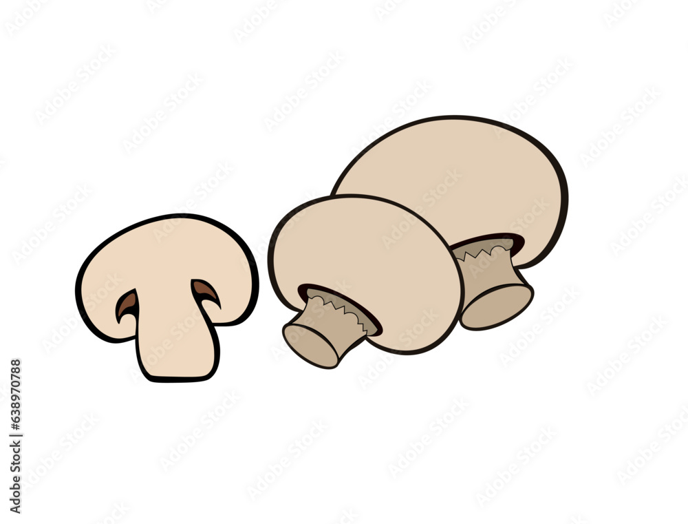Cartoon mushrooms on a white background. Vector illustration