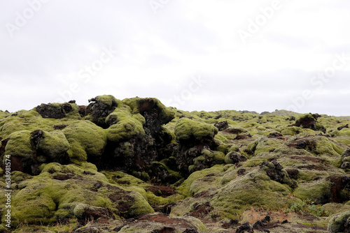 Tableau sur toile Green Moss Lava Field in Southern Iceland