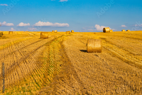 Farm field after harvest with large round bales of straw