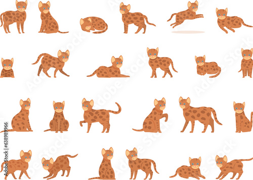 Fototapeta Naklejka Na Ścianę i Meble -  Bengal cat icons set cartoon vector. Nature animal. Pet wild