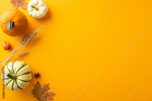 Thanksgiving harvest setup: Top view shot capturing pumpkin, pattipans, wheat, maple leaves. Showcasing physalis and anise against an orange backdrop, with room for text or adverts