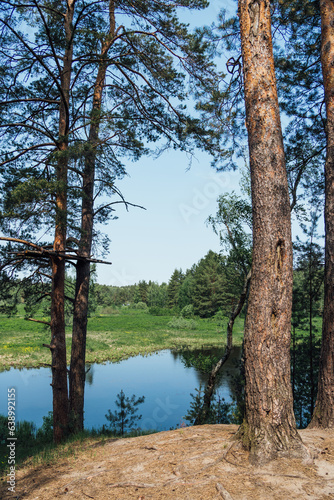 View to the river and the forest © Anton