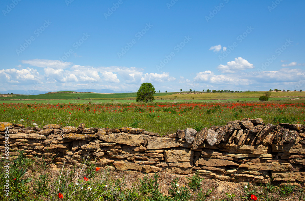 Muro de piedra seca, declarado Patrimonio de la Humanidad Stock Photo ...