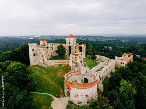 Tenczynek Castle - Poland. photo