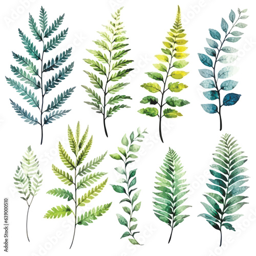 Botanical Beauty  Watercolor Colorful Fern Flower Collection  White Background
