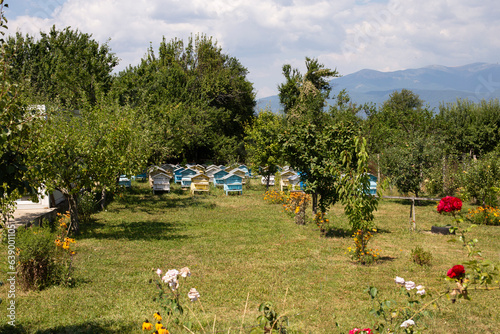Hives of bees in the apiary © Ирина Селина