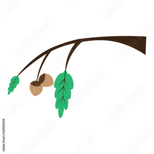 Oak acorn Thanksgiving Illustration  element