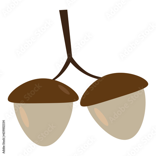 oak acorn Thanksgiving Illustration