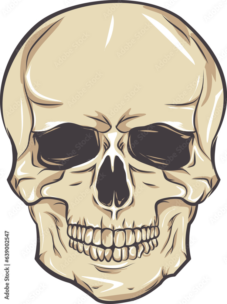 Fototapeta premium Vector human skull. . death shirt design Pirate emblem concept. halloween concept