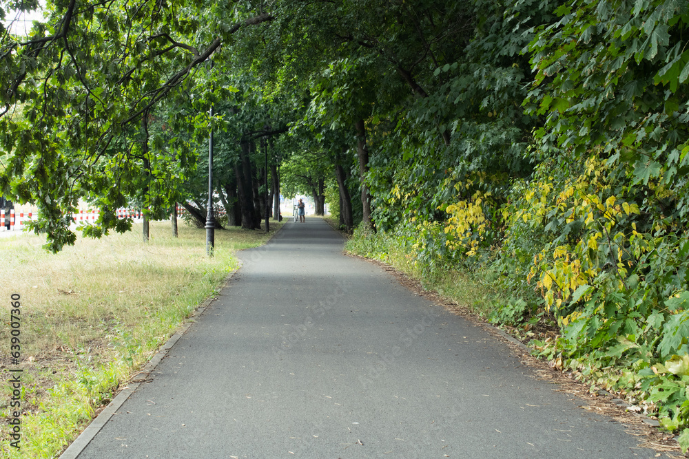 Empty asphalt road in the park with trees and grass on the sides Empty asphalt road in the park with trees and grass on the sides