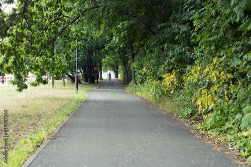 Empty asphalt road in the park with trees and grass on the sides