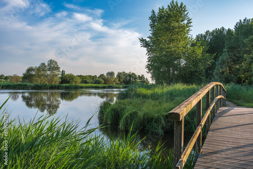 Beautiful landscape park, called Het Abtwoudse Bos, on the border of the city of Delft, Netherlands. The forest with many water streams and small bridges was built 40 years ago.in a polder