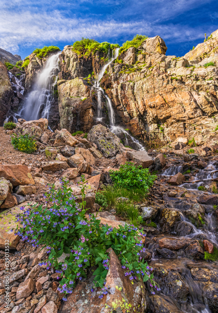 Timberline Falls and Mountain BLuebells