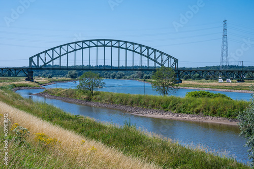 Colorfull heather over blue sk at the banks of the river Rhine around Arnhem  the Netherlands