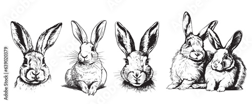 Little bunny collection hand drawn sketch Farm animals
