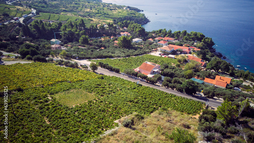 Beautiful, sloped vineyards of Peljesac peninsula, Croatia, at the town of Orebic, reaching the coastline, photographed with drone from above