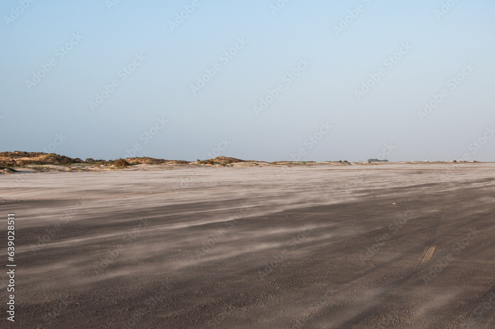sand dunes on the beach
