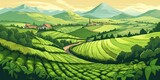 Green tea plantation landscape. Rural farmland fields, Terraced farmer, hills with greenery and mountain on horizon. agriculture background. Simple graphic