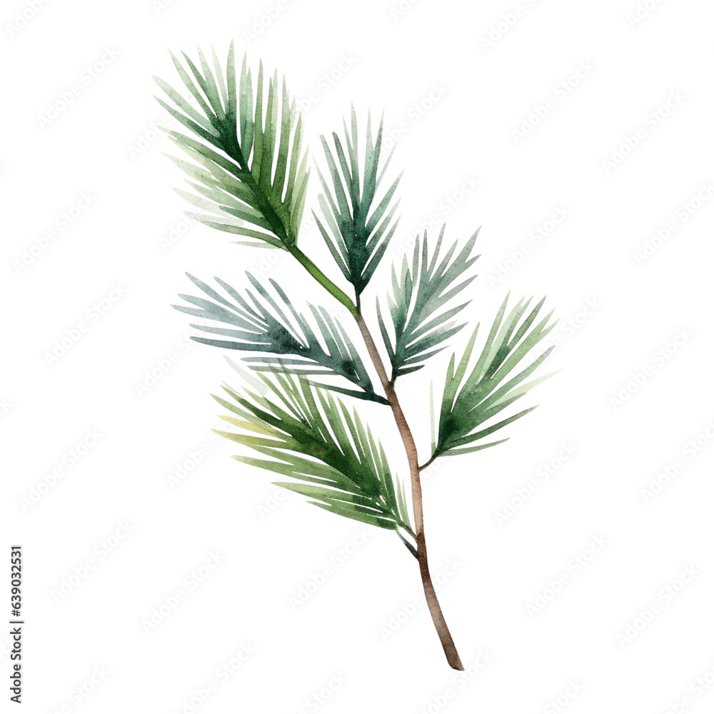 Fototapeta premium Pine branch watercolour illustration. clipart for design. Christmas elements. isolated on transparent background. Generative ai