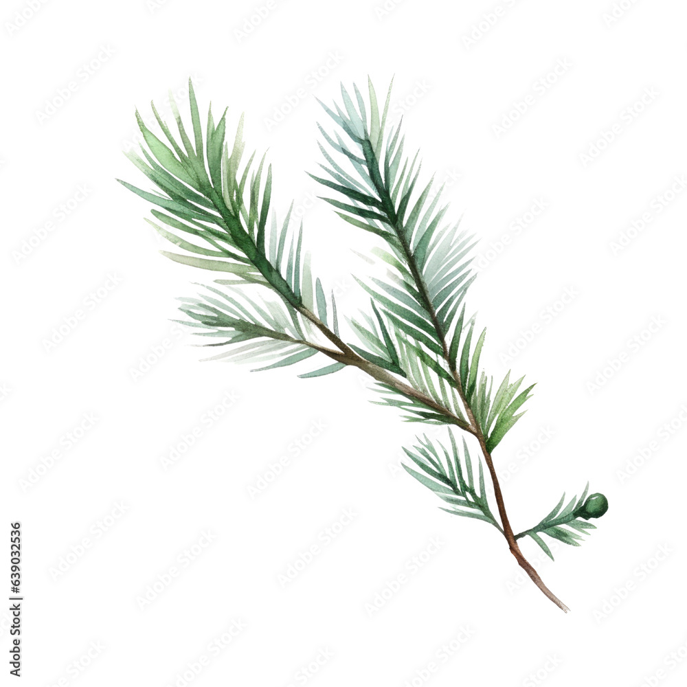 Pine branch watercolour illustration. clipart for design. Christmas elements. isolated on transparent background. Generative ai Pine branch watercolour illustration. clipart for design. Christmas elements. isolated on transparent background. Generative ai